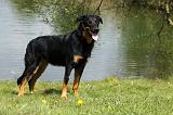 BEAUCERON 588